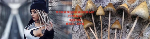 винт Новодвинск